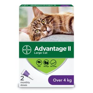 Advantage II for cats