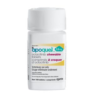 Apoquel chewable tablet for dogs
