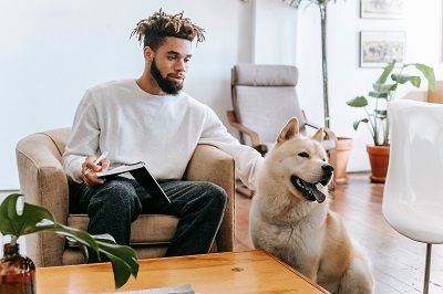 Pet Owner Essentials