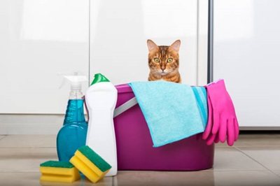 Pet Owner Essentials pet-care products