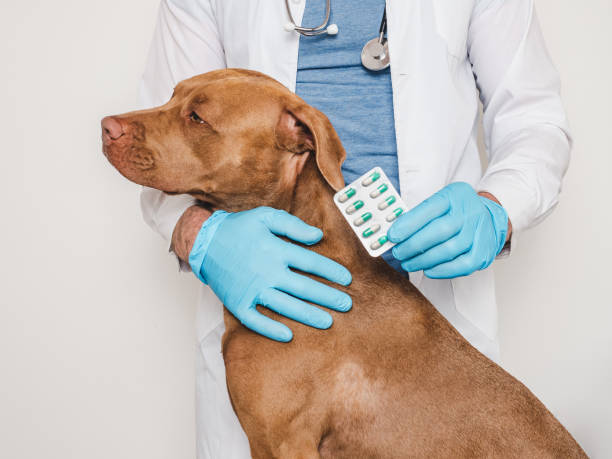Prescription Medication