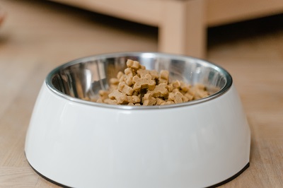pet food & treats