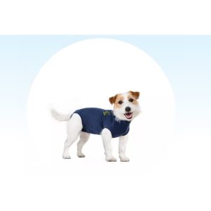 Recovery suit Signature for dogs