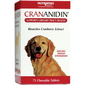 Crananidin chewable tablet for dogs