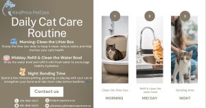 A Simple Daily Cat Care Routine for a Happy, Healthy Cat! KindPrice PetCare