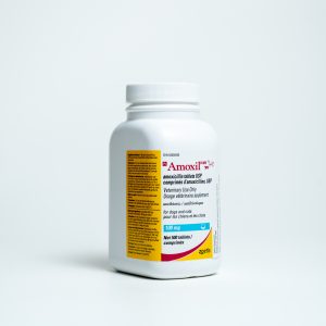 Amoxil