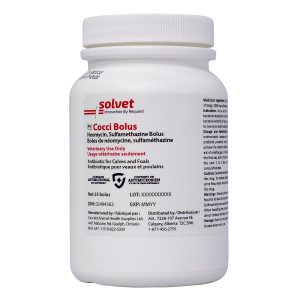 Solvet Cocci Bolus