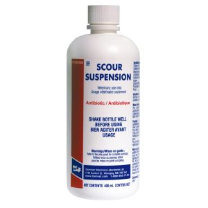 DVL Scour suspension