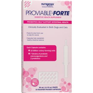 Nutramax Proviable Forte kit for medium to large dogs