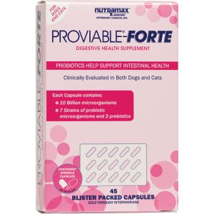 Nutramax Proviable Forte capsules for cats and all-size dogs
